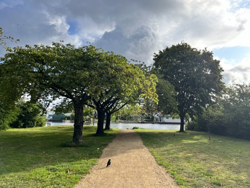 Bewolkt