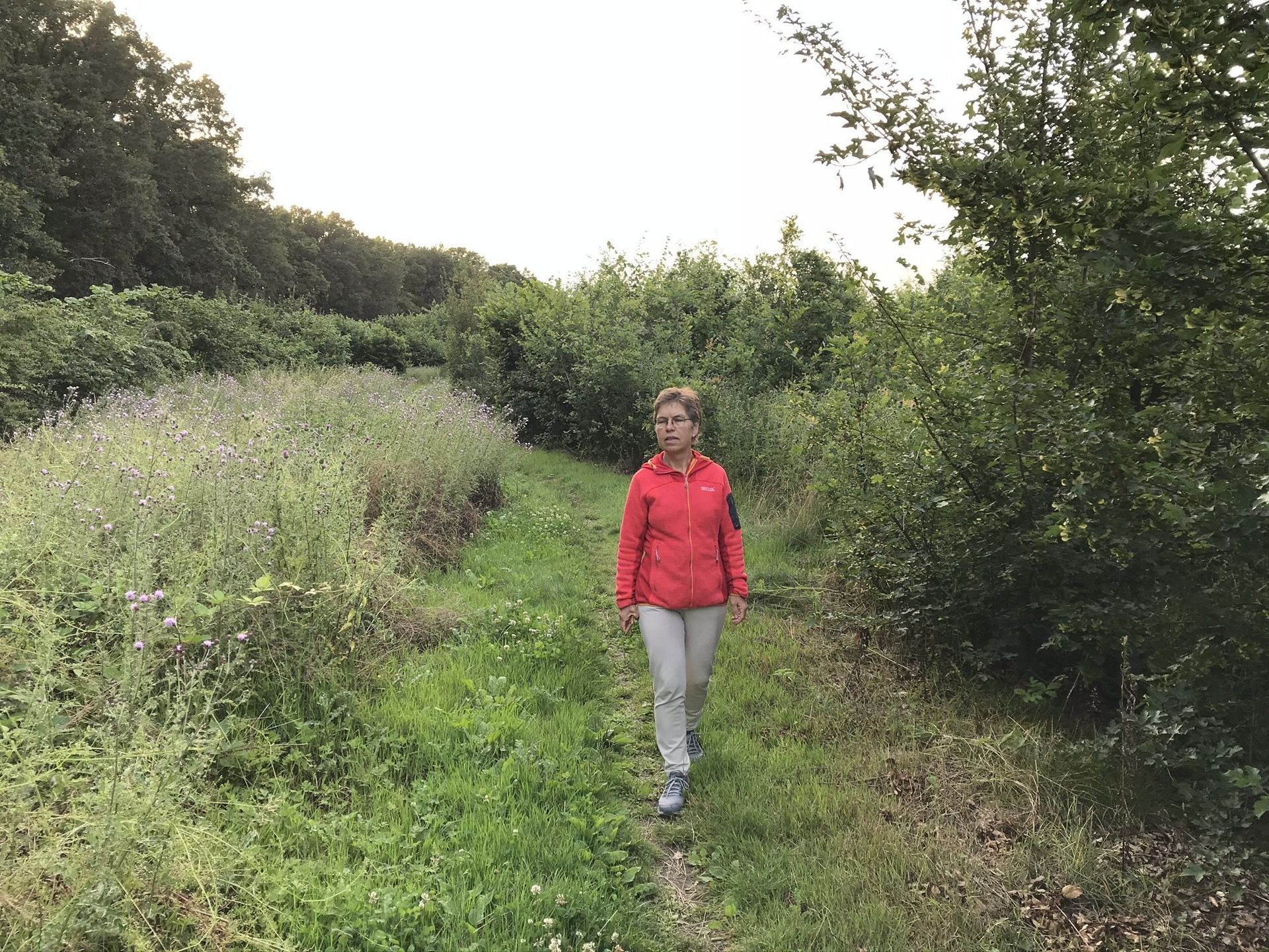 Wandelen