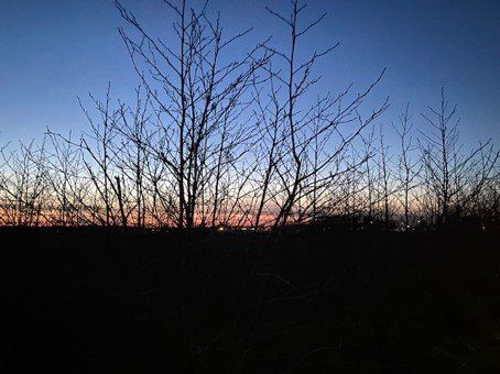 Zonsondergang